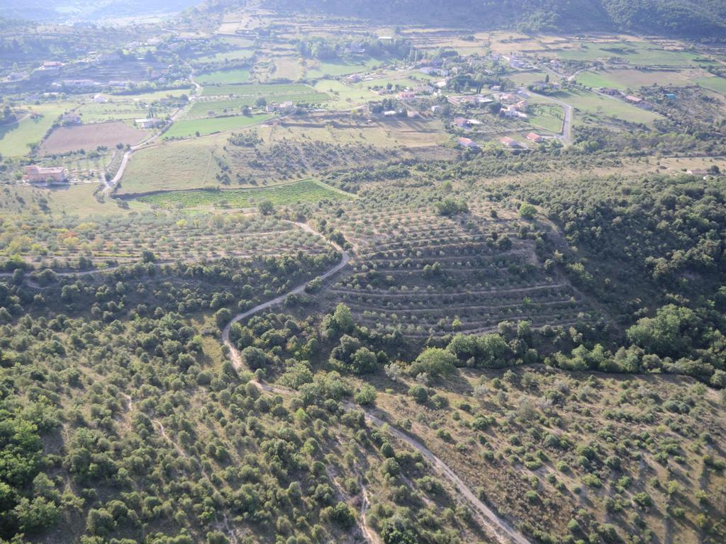 Pontet-Fronzele Agrotourisme Ecologique, Maison D'Hotes & Spa Lagorce  Zewnętrze zdjęcie