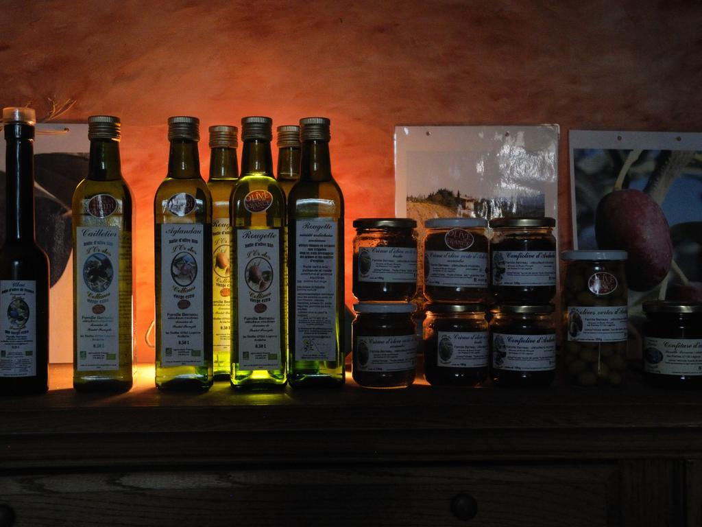 Pontet-Fronzele Agrotourisme Ecologique, Maison D'Hotes & Spa Lagorce  Zewnętrze zdjęcie