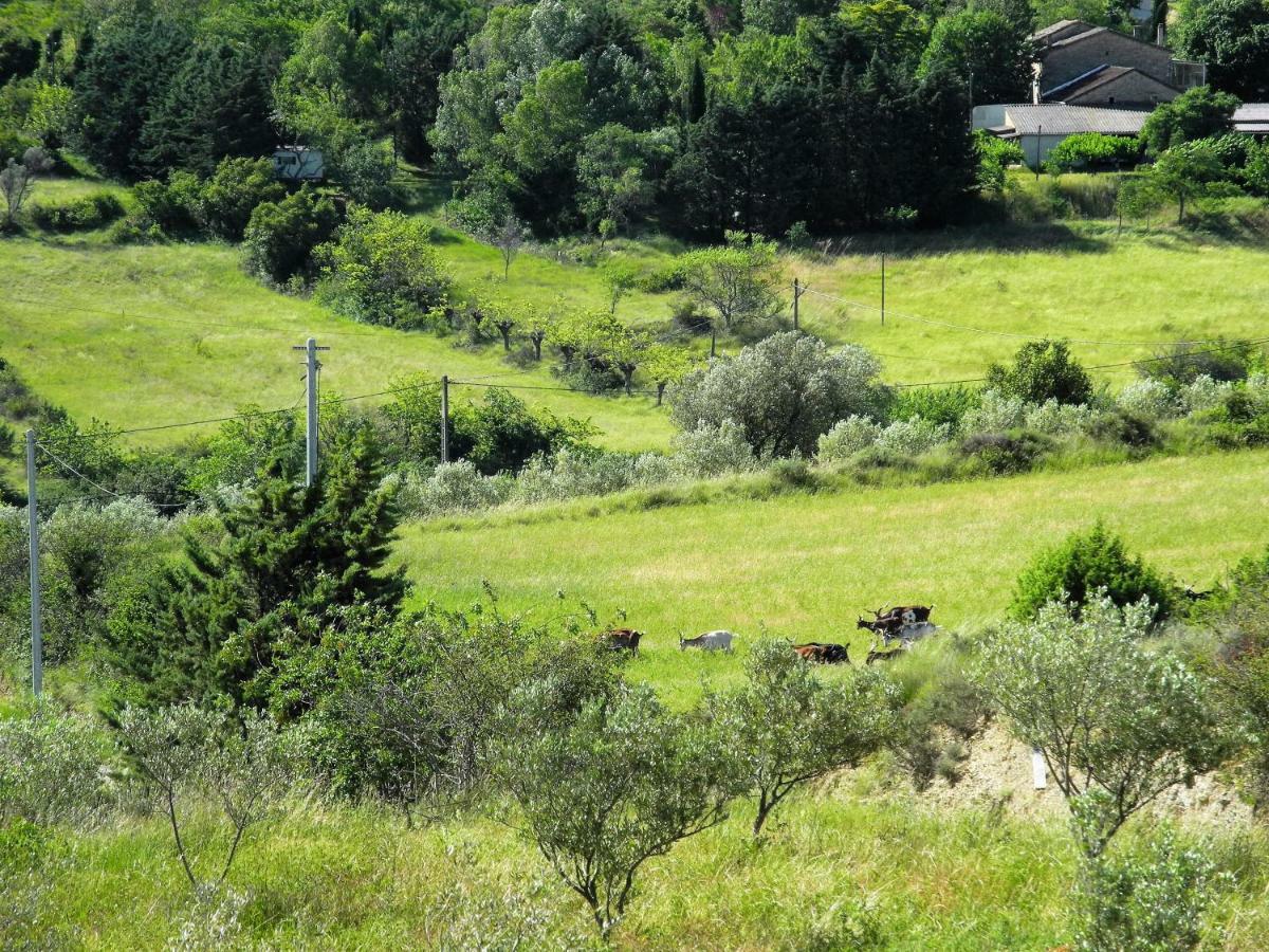 Pontet-Fronzele Agrotourisme Ecologique, Maison D'Hotes & Spa Lagorce  Zewnętrze zdjęcie